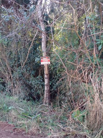 Lote Baldio - Oberá - Misiones