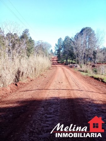 Lote Baldio - Oberá - Misiones